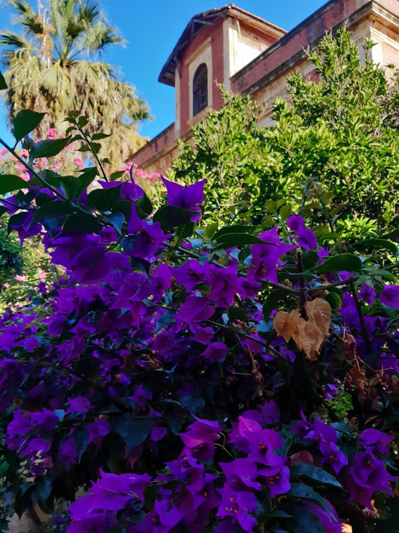 Avgi Garden House Chania With Private Entrance Exteriör bild