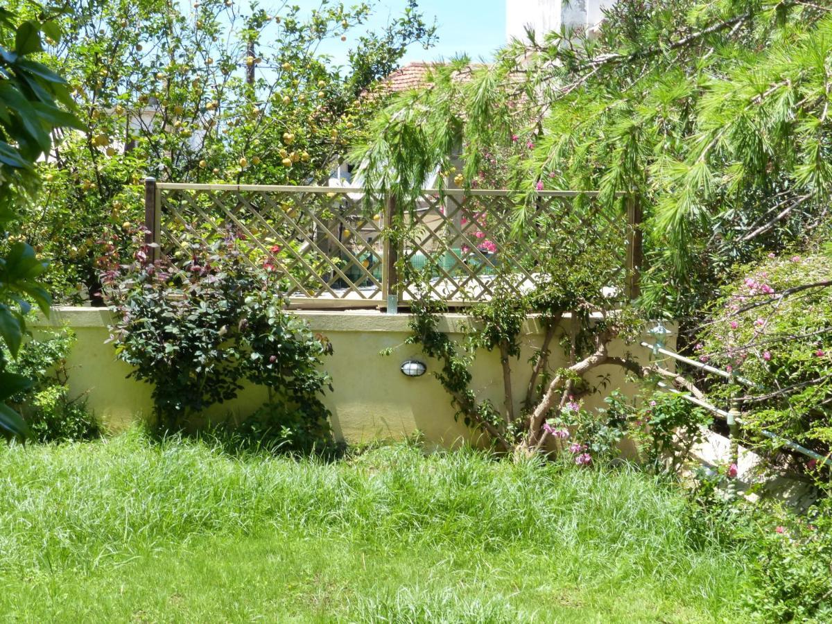 Avgi Garden House Chania With Private Entrance Exteriör bild